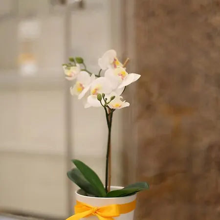 Lemon House Neapol